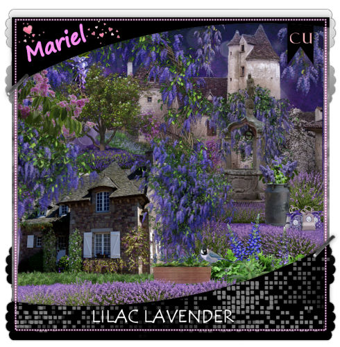 CU LILAC LAVENDER - Click Image to Close